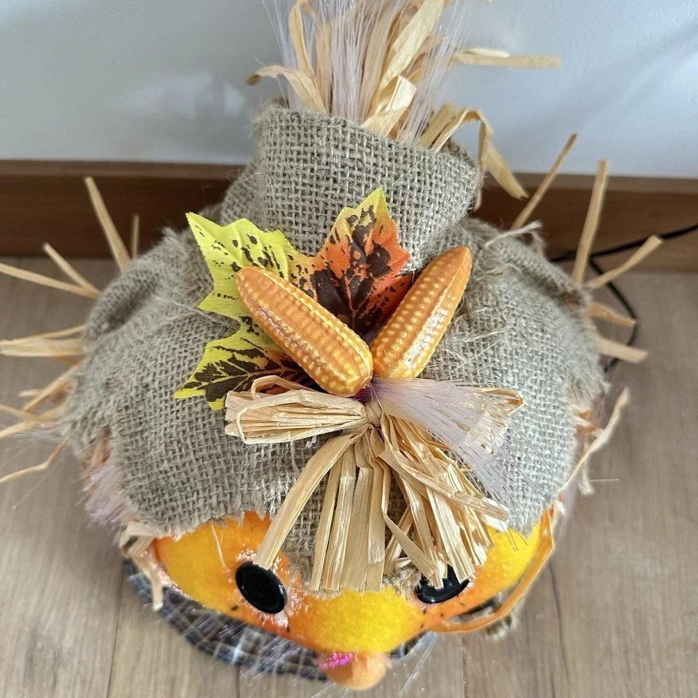 VTG Pumpkin‎ Hollow Fiber Optic Scarecrow Head In Box 10